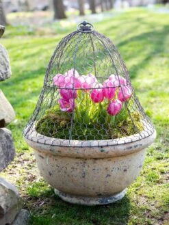 Chicken Wire Cloche -Green Works Shop 8590210 021 tif