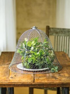 Chicken Wire Cloche -Green Works Shop 8590210 1 tif