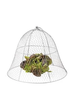 Chicken Wire Cloche -Green Works Shop 8590210 675 tif