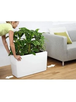 Lechuza® Cararo Rectangular Indoor Planter With Casters -Green Works Shop 8590295 03v