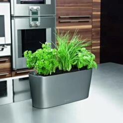 Lechuza® Delta Self-Watering Windowsill Planters -Green Works Shop 8590298 02V tif