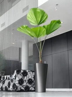 Lechuza® Delta Premium Self-Watering Planters -Green Works Shop 8590299 02V tif