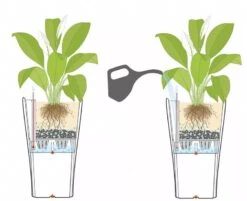 Lechuza® Delta Premium Self-Watering Planters -Green Works Shop 8590299 07V tif