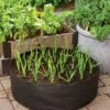 Garlic Grow Bag Kit 2 Garlic Grow Bag Kit -Green Works Shop 8590676 0072 growing garlic grow bag kit