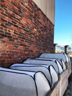 Row Shelter Accelerator -Green Works Shop 8591990 01IN tif