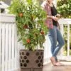 Gardener's Revolution® Tomato Planter -Green Works Shop 8592159 406 001E tif
