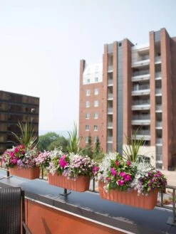 Adjustable Self-Watering Railing Planter, 24" -Green Works Shop 8592173TC 2383 tif