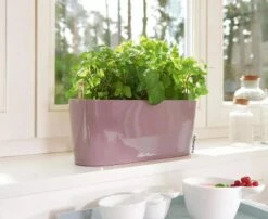 Lechuza® Delta Self-Watering Windowsill Planters -Green Works Shop 8592361 01V tif