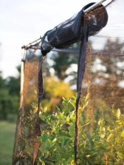 Storm Proof Crop Cage, Large -Green Works Shop 8592463 115 tif