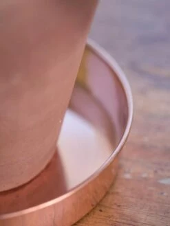 Extra Small Round Copper Plant Tray, 8" -Green Works Shop 8593528 4529 tif