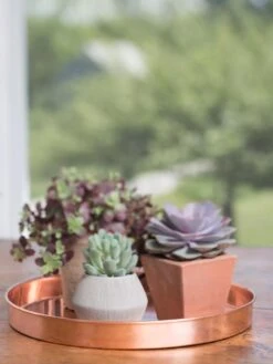 Large Round Copper Plant Tray, 14" -Green Works Shop 8593531 4518 tif