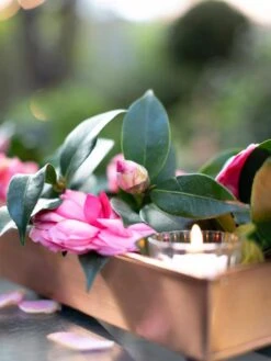 Rectangular Copper Plant Tray, 18"x4" -Green Works Shop 8593532 02IN tif