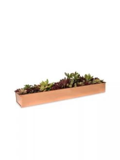 Rectangular Copper Plant Tray, 18"x4" -Green Works Shop 8593532 2892 tif
