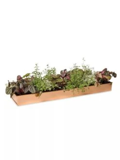 Rectangular Copper Plant Tray, 24" X 5" -Green Works Shop 8593533 2878 tif