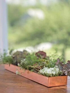 Rectangular Copper Plant Tray, 24" X 5" -Green Works Shop 8593533 4626 tif