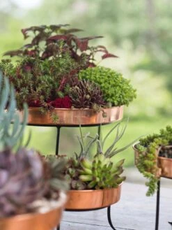 Small Round Copper Plant Tray, 10" -Green Works Shop 8593564 4399 tif