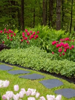 Recycled Rubber Flagstone Stepping Stone -Green Works Shop 8594282 518 tif