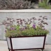 Short Galvanized Self-Watering Trough Planter -Green Works Shop 8594329 5064 tif