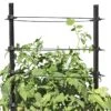 Gardener's Revolution® Classic Tomato Extension 1 Gardener's Revolution® Classic Tomato Extension -Green Works Shop 8594367 0047 001E gardeners revolution classic tomato cage extension tif
