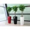 Lechuza® Rondo Self-Watering Planters -Green Works Shop 8594586 01V tif