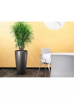 Lechuza® Rondo Self-Watering Planters -Green Works Shop 8594586 02V tif