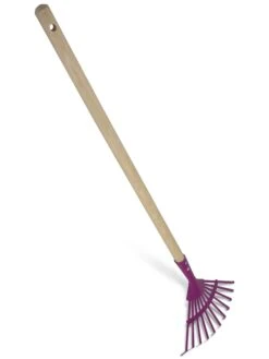 Kid's Leaf Rake