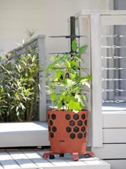 Gardener's Revolution® Tomato Planter -Green Works Shop 8594743 2618 tif