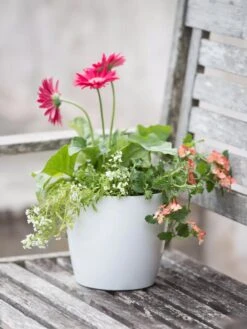 Viva Round Self-Watering Planter, 7" Diameter -Green Works Shop 8595222 1139 tif