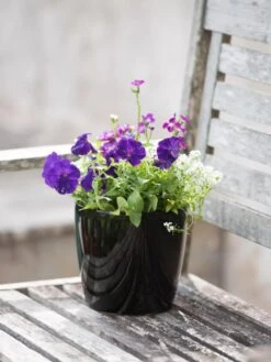 Viva Round Self-Watering Planter, 7" Diameter -Green Works Shop 8595222 1140 tif