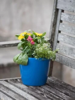 Viva Round Self-Watering Planter, 7" Diameter -Green Works Shop 8595222 1143 tif