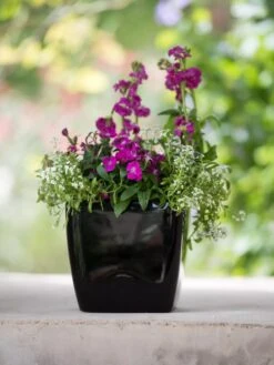 Viva Square Self-Watering Planter, 7" Diameter -Green Works Shop 8595223 1107 tif