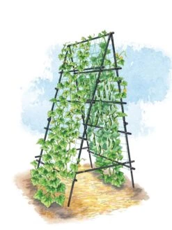 Titan A-Frame Trellis -Green Works Shop 8595755 TitanAFrame art tif