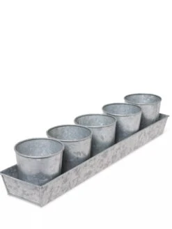 Galvanized Herb Planters With Rectangular Tray -Green Works Shop 8595903 3924 tif