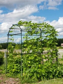 Titan Squash Tunnel 15 Titan Squash Tunnel -Green Works Shop 8596276 0133 tif