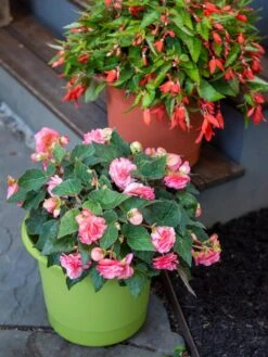 Eezy Gro Self-Watering Planters -Green Works Shop 8596427 0034 tif