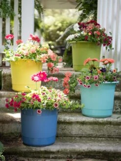 Eezy Gro Self-Watering Planters -Green Works Shop 8596427 8090 tif