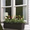 Valencia Window Box, 3' -Green Works Shop 8596436 7496 tif