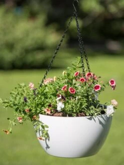 Viva Self-Watering Hanging Basket, 14" Diameter -Green Works Shop 8596442 0864 tif