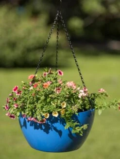 Viva Self-Watering Hanging Basket, 14" Diameter -Green Works Shop 8596442 0876 tif