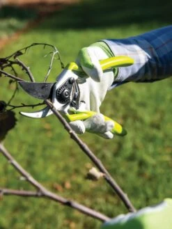 Gardener's Pro Pruner #2 -Green Works Shop 8596605 032 tif
