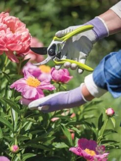 Gardener's Pro Pruner #2 -Green Works Shop 8596605 1261 tif