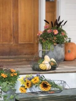 Galvanized Rim Planters 11 Galvanized Rim Planters -Green Works Shop 8597379 1625 tif