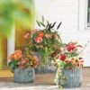 Galvanized Ribbed Planters -Green Works Shop 8597436 1680 tif