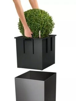Lechuza® Cube Premium Planters -Green Works Shop 8597506 04V tif