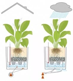 Lechuza® Cube Premium Planters -Green Works Shop 8597506 05V tif