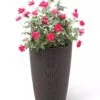 Weave Self-Watering Round Tall Planter, 12-1/2" -Green Works Shop 8598371 3000 tif