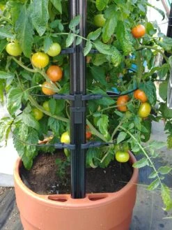 Gardener’s Victory Self-Watering Planter With Support System -Green Works Shop 8598384 01EMP tif