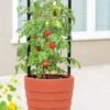 Gardener’s Victory Self-Watering Planter With Support System -Green Works Shop 8598384 6012 tif