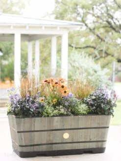VegTrug™ Trough Planters -Green Works Shop 8598402 08880 tif