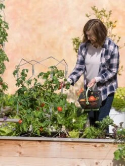 Gardener's Vertex Lifetime Tomato Cage -Green Works Shop 8598426 0026 tif